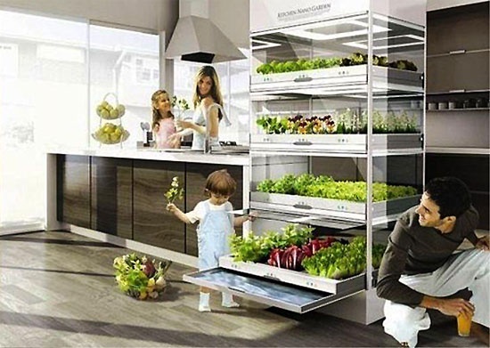  Hyundai Kitchen Nano Garden