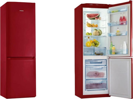 Двухкамерный холодильник Позис RK FNF-170 рубиновый