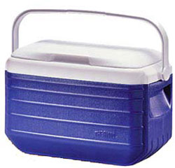 сумка-холодильник Thermos Personals Coolers 15