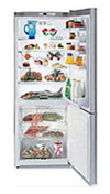 двухкамерный холодильник Gaggenau RB 272-250