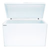 холодильный и морозильный ларь Frostor Standart F600S
